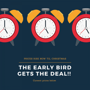 Early Bird Gets The Deal Image